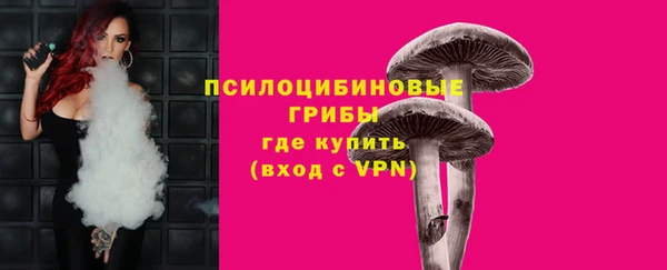 твердый Бугульма