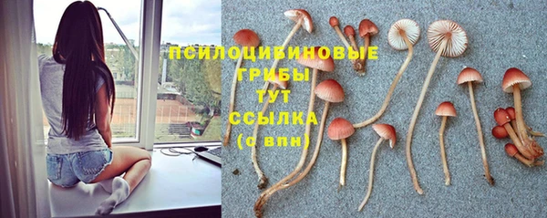 мескалин Богородицк