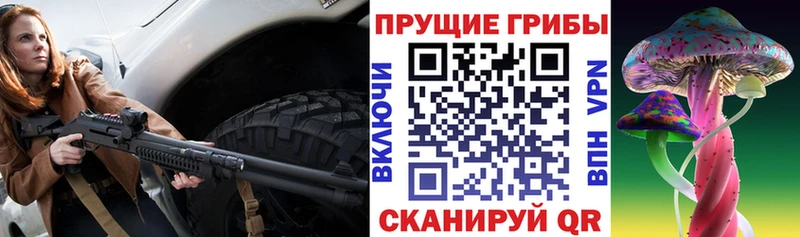 Псилоцибиновые грибы Psilocybe  Городовиковск 
